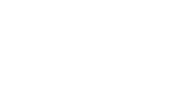 Swintt